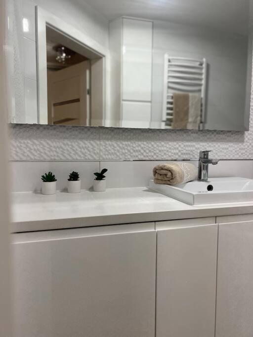 Apartament Zamojski Mlynska Zamość Exterior foto